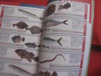 釣り経験なしでもわかる 　 堤防釣り 　 ルアー釣り　＆　エサ釣り　  釣の基本常識から学べる　　　　   【趣味・海洋レジャー・フィッシング・アウトドア】