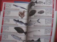 釣り経験なしでもわかる 　 堤防釣り 　 ルアー釣り　＆　エサ釣り　  釣の基本常識から学べる　　　　   【趣味・海洋レジャー・フィッシング・アウトドア】