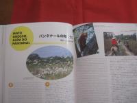 大自然の楽園  　ブラジルへようこそ　　  Ｂｅｍ－ｖｉｎｄｏｓ　  ａｏ 　 Ｐａｒａｉｓｏ 　 ＢＲＡＳＩＬ   　　スペイン語・日本語表記 　　　　　　   【南米・知識・旅行・ガイドブック】