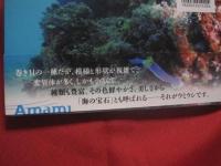 不思議ないきもの 　　 ウミウシ  　　写真　・　文  　今本 　淳  　　へんなやつ、でも、美しい。  　　日本で初めての写真集！ 　　 海の宝石  　　巻き貝の一種　　　　奄美の海から・・・    　          【写真集・自然・生物・動物・癒し】
