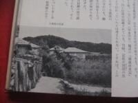 歴史の旅  　沖縄  　　  新里 金福　 著   　　 　　   【沖縄・琉球・歴史・文化・写真本】