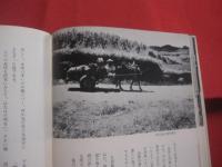 歴史の旅  　沖縄  　　  新里 金福　 著   　　 　　   【沖縄・琉球・歴史・文化・写真本】