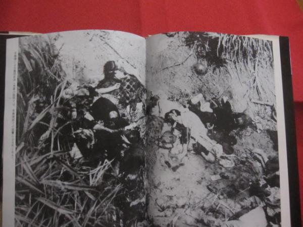 写真記録 これが沖縄戦だ 改訂版 【沖縄・琉球・太平洋戦争・写真集