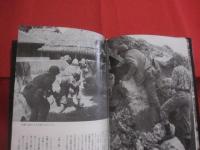 ☆写真記録  　これが沖縄戦だ　　  改訂版　　　大田昌秀　編著　　　　琉球新報社　発行  　　  　　   【沖縄・琉球・太平洋戦争・写真集】