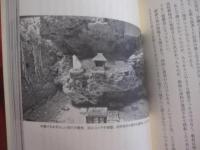 ☆島猫と歩く那覇スージぐゎー 　（ 　路地 　）  　　桜坂、栄町市場、ニューパラダイス通り、牧志、泊、天ぷら坂から壺屋通り    　　     【沖縄・琉球・歴史・文化】