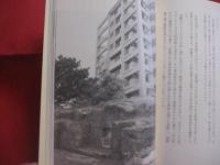 ☆島猫と歩く那覇スージぐゎー 　（ 　路地 　）  　　桜坂、栄町市場、ニューパラダイス通り、牧志、泊、天ぷら坂から壺屋通り    　　     【沖縄・琉球・歴史・文化】