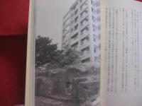★島猫と歩く那覇スージぐゎー 　（ 　路地 　）  　　桜坂、栄町市場、ニューパラダイス通り、牧志、泊、天ぷら坂から壺屋通り    　　     【沖縄・琉球・歴史・文化】