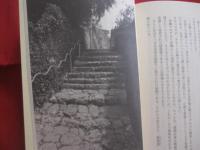 ★島猫と歩く那覇スージぐゎー 　（ 　路地 　）  　　桜坂、栄町市場、ニューパラダイス通り、牧志、泊、天ぷら坂から壺屋通り    　　     【沖縄・琉球・歴史・文化】