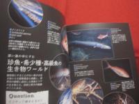 わくわくガイドブック　　  みんなの沖縄美ら海水族館 　　 神秘の海へ、めんそーれ！　　  ステキな海の仲間がいっぱい！　　　　   【ちゅらうみ水族館・琉球・海洋生物】