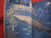 わくわくガイドブック　　  みんなの沖縄美ら海水族館 　　 神秘の海へ、めんそーれ！　　  ステキな海の仲間がいっぱい！　　　　   【ちゅらうみ水族館・琉球・海洋生物】