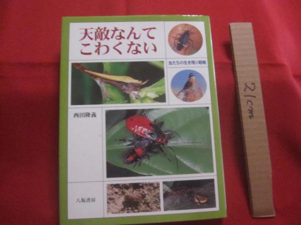 窪徳忠先生沖縄調査二十年記念論文集 沖縄の宗教と民俗 【沖縄