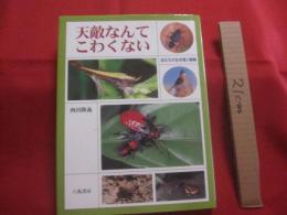 天敵なんてこわくない　　  虫たちの生き残り戦略  　　  西田隆義　 著      　　　　 【自然・生物・動物・昆虫】