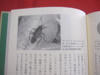 天敵なんてこわくない　　  虫たちの生き残り戦略  　　  西田隆義　 著      　　　　 【自然・生物・動物・昆虫】