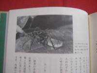 天敵なんてこわくない　　  虫たちの生き残り戦略  　　  西田隆義　 著      　　　　 【自然・生物・動物・昆虫】