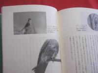天敵なんてこわくない　　  虫たちの生き残り戦略  　　  西田隆義　 著      　　　　 【自然・生物・動物・昆虫】