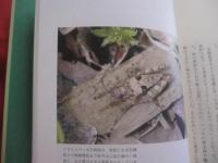 天敵なんてこわくない　　  虫たちの生き残り戦略  　　  西田隆義　 著      　　　　 【自然・生物・動物・昆虫】