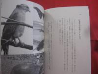 西表やまねこ診療所   　　総合病院を飛び出し、ボクは島医者になった。   　　　　   【沖縄・琉球・八重山・離島・先島諸島・医療・文化】