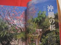 南の島の楽園生活マガジン　 　   沖縄スタイル　　    Ｏｋｉｎａｗａ Ｓｔｙｌｅ 　０６  　   　☆沖縄で暮らす理由（ワケ）   　 海のそばで暮らす　/　外人住宅に住む　/　沖縄で起業を目指す　/　暮らしやすさ指数　/　子供をのびのび育てたい   　　    【沖縄・琉球・歴史・文化】