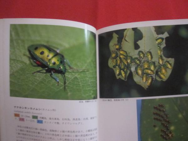 沖縄昆虫野外観察図鑑 2巻・3巻・4巻の三冊 - 昆虫 - 趣味