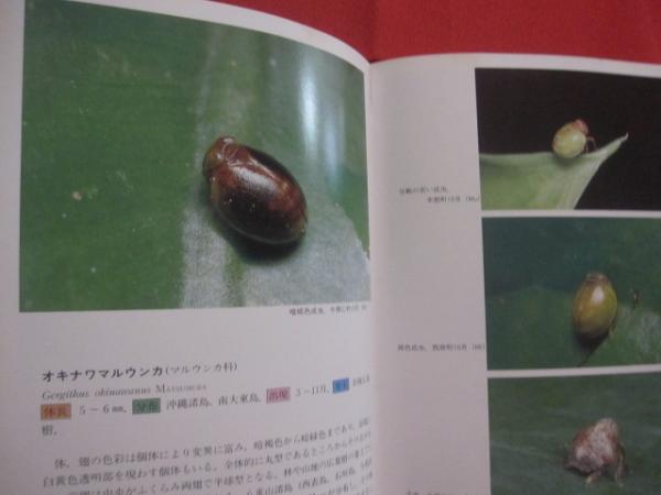 沖縄昆虫野外観察図鑑 2巻・3巻・4巻の三冊 - 昆虫 - 趣味