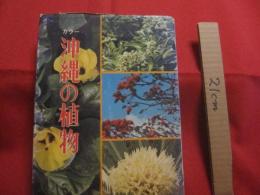 ☆カラー  沖縄の植物      城間 朝教 著      新星図書 発行              【沖縄・琉球・自然・生物】