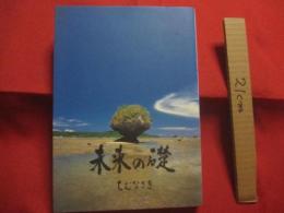 未来の礎　　  ちむなさき　　  企画・発行 　ダイキン工業株式会社  　　取材協力 琉球放送株式会社  　　　　　　  【沖縄・琉球・歴史・文化・人物・宮里藍・平良敏子・山本彩香・大塚勝久・筑紫哲也】