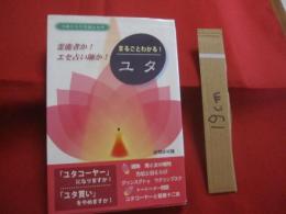 沖縄その不思議な世界  　　 まるごとわかる！ユタ  　　 霊能者か！  エセ占い師か！   　　 座間味 栄議  　著     　　   【沖縄・琉球・歴史・精神文化】