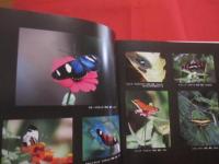 改訂新版 　 最後の楽園　    ＰＥＲＵ    ペルー 　   秘境 ・ アマゾン源流写真旅     写真と文     浅川 嘉富　　           【写真集・自然・風景・動物・植物】