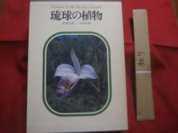 琉球の植物 　　　   Ｆｌｏｗｅｒｓ　  ｏｆ  　ｔｈｅ　  Ｒｙｕｋｙｕ 　 Ｉｓｌａｎｄｓ  　　　   《屋久島・種子島を含む》 　　 　   定価 ２２，０００円　　  　       【沖縄・琉球・自然・生物・図鑑】