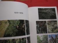 琉球の植物 　　　   Ｆｌｏｗｅｒｓ　  ｏｆ  　ｔｈｅ　  Ｒｙｕｋｙｕ 　 Ｉｓｌａｎｄｓ  　　　   《屋久島・種子島を含む》 　　 　   定価 ２２，０００円　　  　       【沖縄・琉球・自然・生物・図鑑】