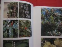 琉球の植物 　　　   Ｆｌｏｗｅｒｓ　  ｏｆ  　ｔｈｅ　  Ｒｙｕｋｙｕ 　 Ｉｓｌａｎｄｓ  　　　   《屋久島・種子島を含む》 　　 　   定価 ２２，０００円　　  　       【沖縄・琉球・自然・生物・図鑑】