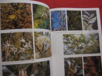 琉球の植物 　　　   Ｆｌｏｗｅｒｓ　  ｏｆ  　ｔｈｅ　  Ｒｙｕｋｙｕ 　 Ｉｓｌａｎｄｓ  　　　   《屋久島・種子島を含む》 　　 　   定価 ２２，０００円　　  　       【沖縄・琉球・自然・生物・図鑑】