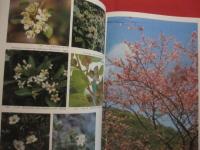琉球の植物 　　　   Ｆｌｏｗｅｒｓ　  ｏｆ  　ｔｈｅ　  Ｒｙｕｋｙｕ 　 Ｉｓｌａｎｄｓ  　　　   《屋久島・種子島を含む》 　　 　   定価 ２２，０００円　　  　       【沖縄・琉球・自然・生物・図鑑】