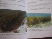 オキナワモズクとフコイダンのお話し        　　  【沖縄・琉球・海藻・食文化】