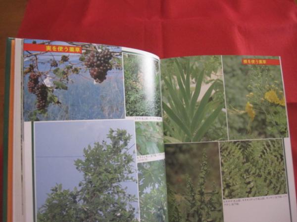 沖縄の薬草百科 - 健康と医学 沖縄の薬草百科 - 健康と医学