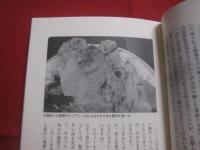 奄美 食 紀行  　　奄美 食 うまいもの 紀行   　　 蔵満 逸司　 著  　　  南方新社　 発行    　　　　     【奄美・歴史・食文化】
