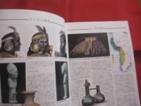 総合ガイドブック  　　マチュ・ピチュ発見  　　インカ道とチョケキラウ　　        【歴史・世界史・南米・遺跡・高山都市・考古・図録】