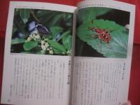 南の島の昆虫記    　　  署名本           　　    【沖縄・琉球・自然・生物・動物】