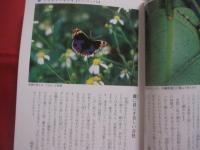 南の島の昆虫記    　　  署名本           　　    【沖縄・琉球・自然・生物・動物】
