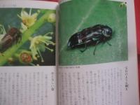 南の島の昆虫記    　　  署名本           　　    【沖縄・琉球・自然・生物・動物】