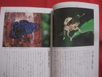 南の島の昆虫記    　　  署名本           　　    【沖縄・琉球・自然・生物・動物】