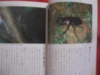 南の島の昆虫記    　　  署名本           　　    【沖縄・琉球・自然・生物・動物】