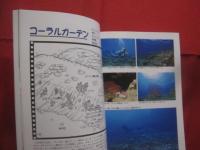ダイビングポイントマップ　  沖縄　　  ― 　Ｎo ．１  　沖縄本島編  　―     　　沖縄マリン出版　 発行 　　　　      【沖縄・琉球・自然・趣味・海洋・マリンレジャー】