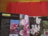 ☆いのちの花  　こころの花　  　　四季を彩る薬草の花     　　   【自然・植物・健康・図鑑・写真集】