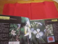 ☆いのちの花  　こころの花　  　　四季を彩る薬草の花     　　   【自然・植物・健康・図鑑・写真集】