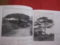 Ｗｉｌｓｏｎ　　  ｉｎ 　　 Ｏｋｉｎａｗａ   　　ウィルソン  　　沖縄の旅　　  １９１７　　　　    【沖縄・琉球・歴史・文化・写真集・自然・風景】