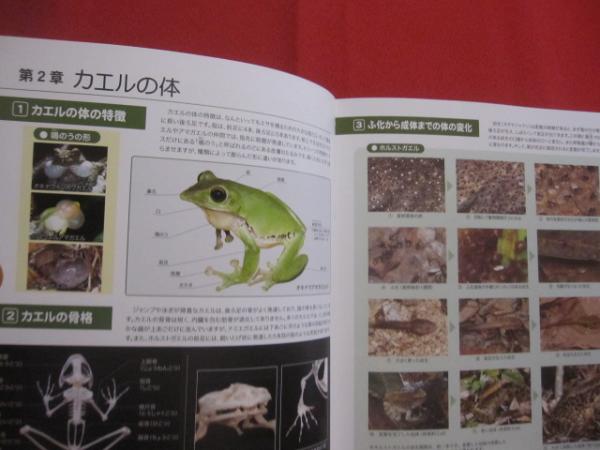 生態写真と鳴き声で知る 沖縄のカエル 全20種 綴じ込み付録CD 沖縄の