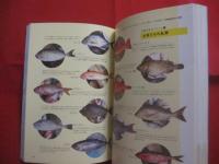金なし、コネなし、沖縄暮らし！    　　ゼロからはじめる南国生活マニュアル   　　 改訂版   　　 必須トピック完全網羅   　　 離島情報も満載！ 　　　　      【沖縄・琉球・歴史・文化】