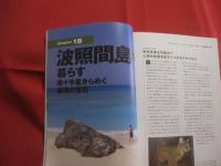 金なし、コネなし、沖縄暮らし！    　　ゼロからはじめる南国生活マニュアル   　　 改訂版   　　 必須トピック完全網羅   　　 離島情報も満載！ 　　　　      【沖縄・琉球・歴史・文化】