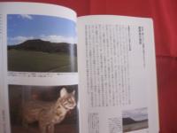 できる！ 　　 沖縄離島暮らし  　　ゼロからはじめる南の島生活マニュアル  　　吉田直人 　著  　　　　　　  【沖縄・琉球・歴史・文化・移住・知識】